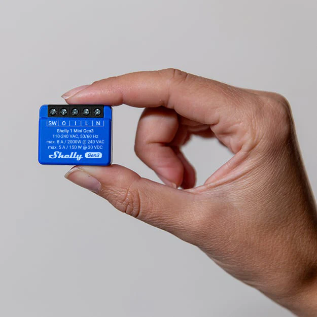 Miniatura 2